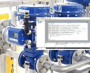 Control Valve Datasheet